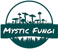Mystic Fungi Logo - 200px