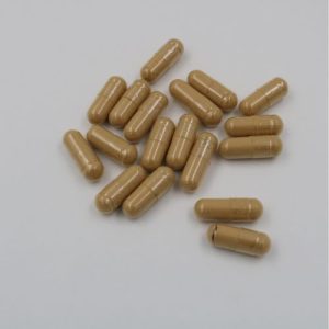 Lions Mane 80 500mg Capsules