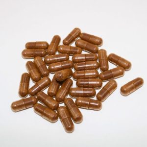 Turkey Tail 80 500mg Capsules