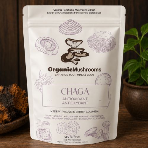 Premium Organic Chaga Mushroom Powder in a 60g resealable pouch. Organic, vegan-friendly functional mushroom supplement made in Canada for convenient daily use.