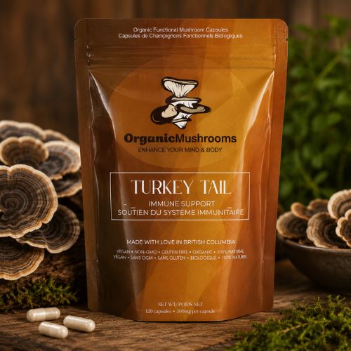 Premium Organic Turkey Tail Capsules 10:1 Extract 120 Capsules